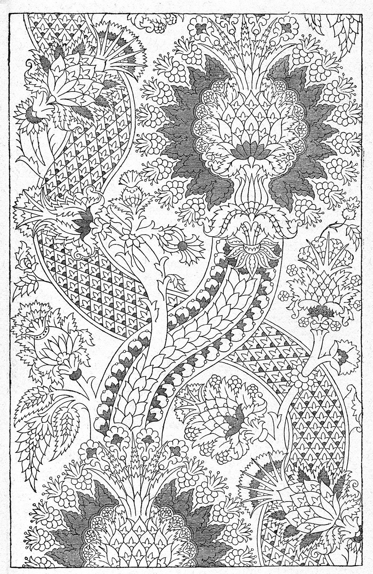 Dessin d’un collet de velours