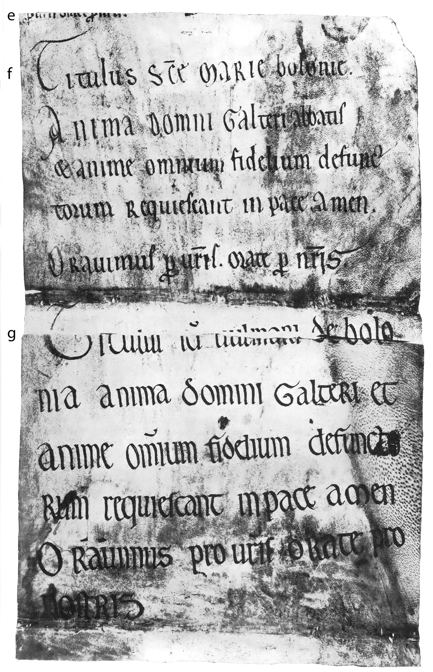 verso du parchemin